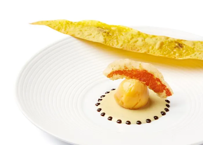 维萨尼酒店 酒店 *