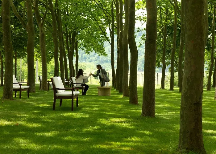 维萨尼酒店 * 柏芝