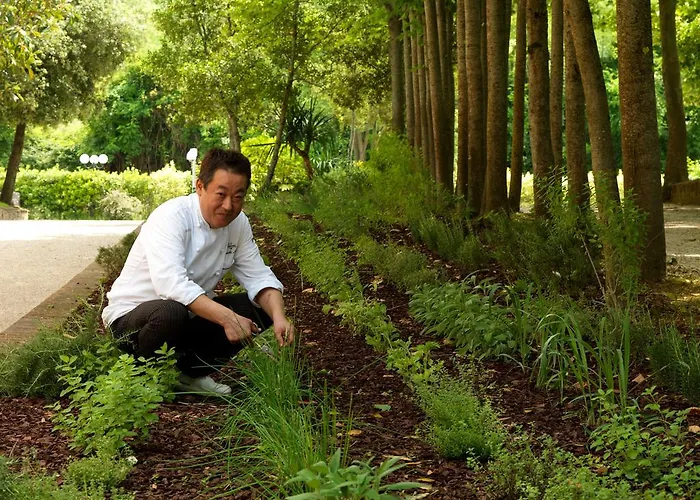 维萨尼酒店 酒店 *