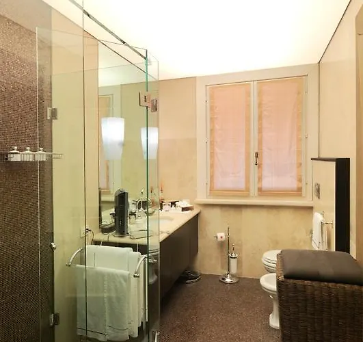 维萨尼酒店 酒店