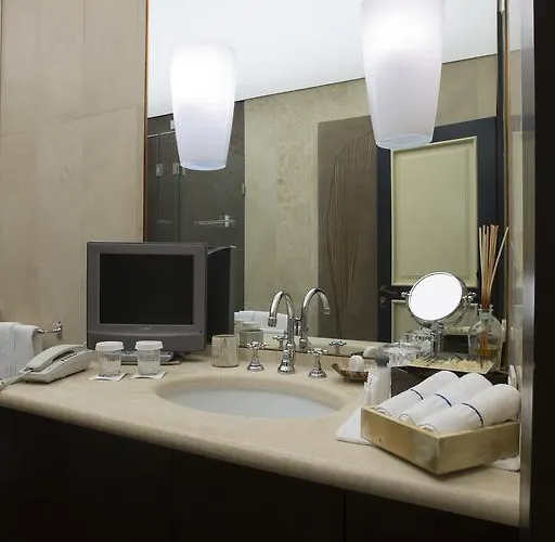 酒店 维萨尼酒店 *