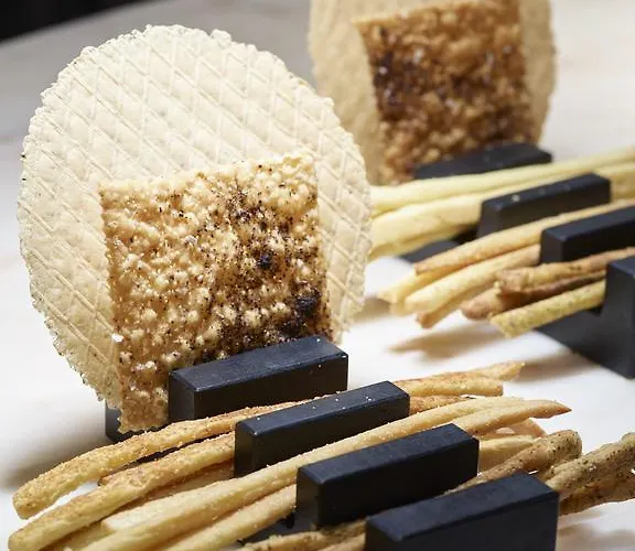 维萨尼酒店 柏芝