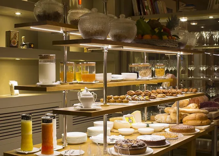 酒店 维萨尼酒店 *